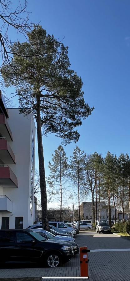 Alejos Apartmentai Comfort Druskininkai Buitenkant foto